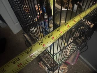 Bird cage