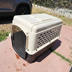 Large Dog House