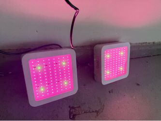 300W LED Grow Light