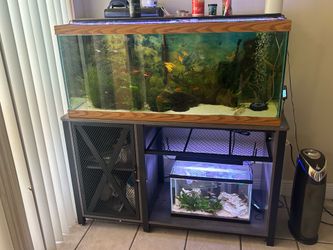 aquarium tank and stand