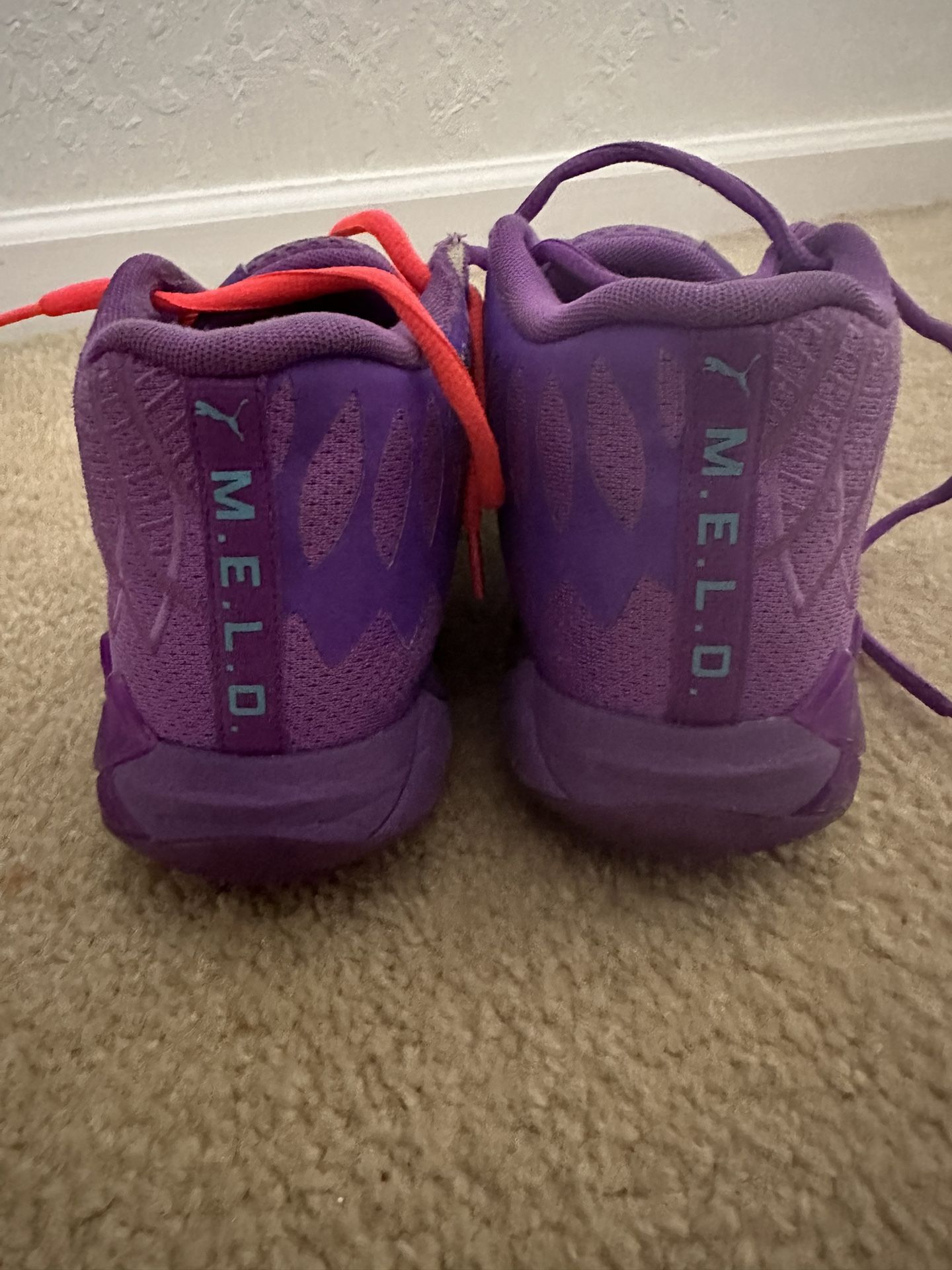 Puma Melo