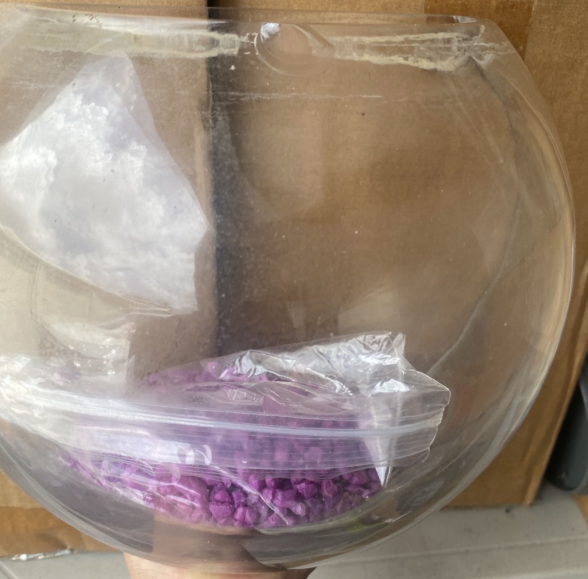Beta Fish Half Bowl