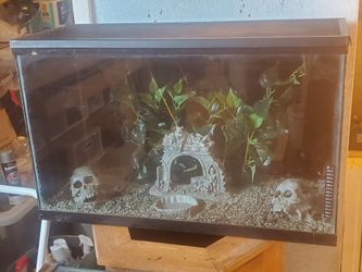 29 gallon reptile enclosure