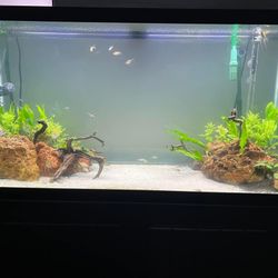 90G tank/stand combo 