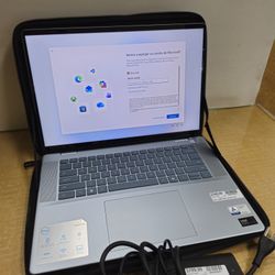 Dell Laptop (P133F) 