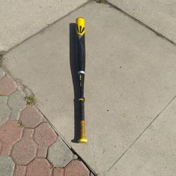 Easton Softball Bat