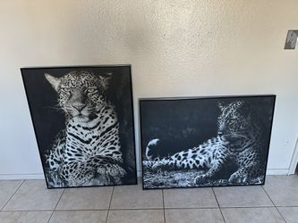 Leopard Portraits $60