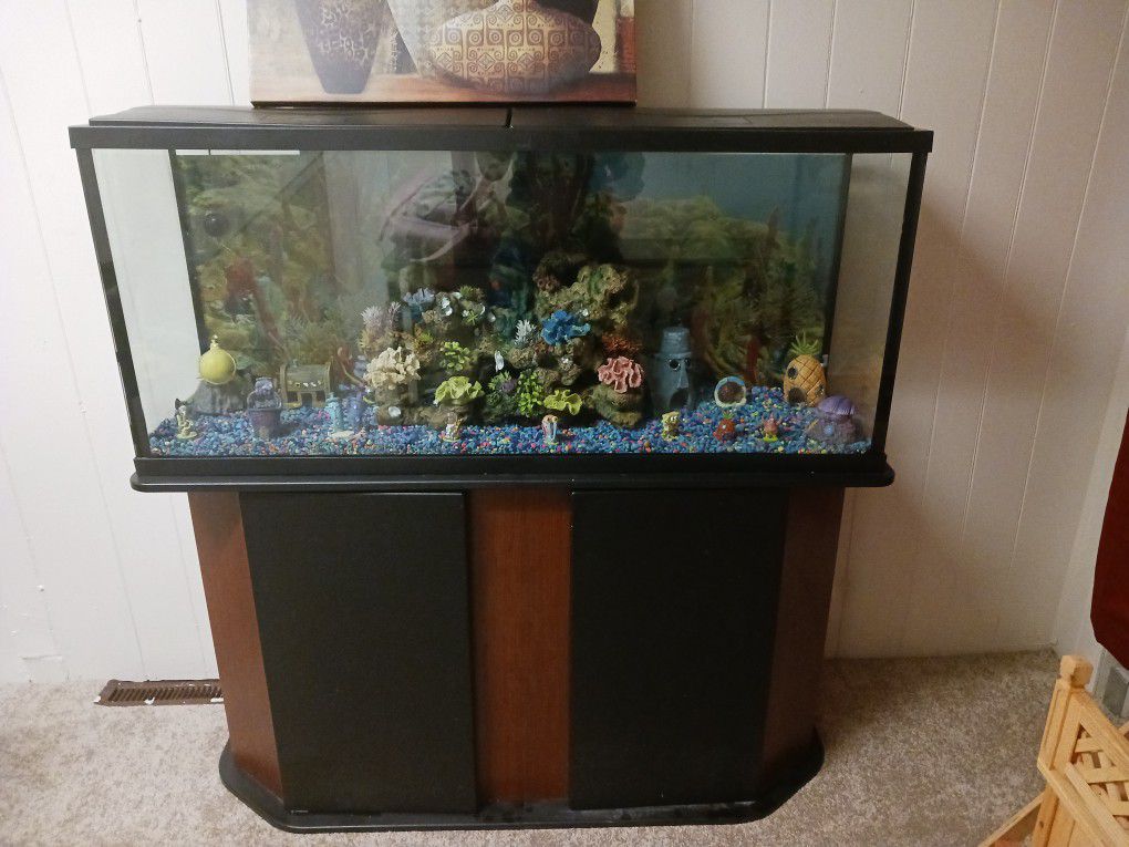 Fish Tank 55 