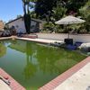 Green Pools To Blue Pools ASAP