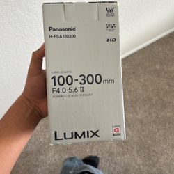 Lumix 100-300 Mm Lens