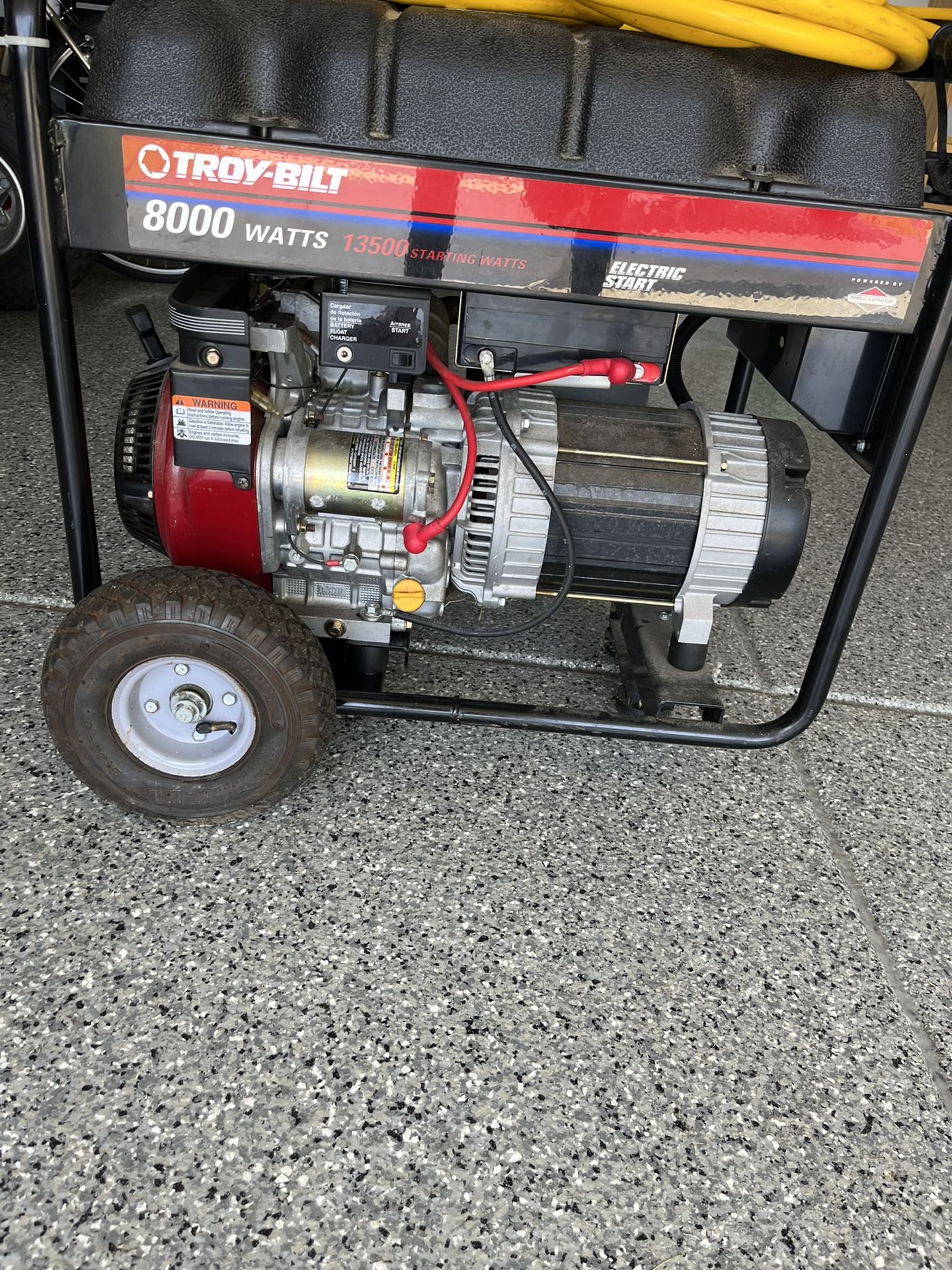 Generator 8000 TroyBilt