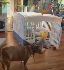 IRIS USA 24” Dog Playpen with Door – White – Like New