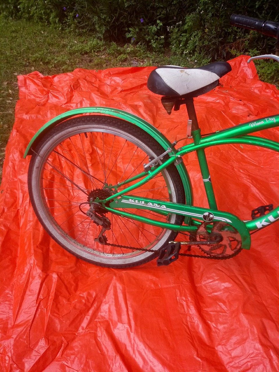 KULANA moondog for Sale in Deltona, FL OfferUp