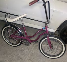 1966 Schwinn fair Lady vintage