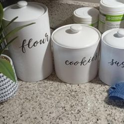 Plastic Plant And Ceramic Jars