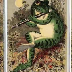 Frog Picture