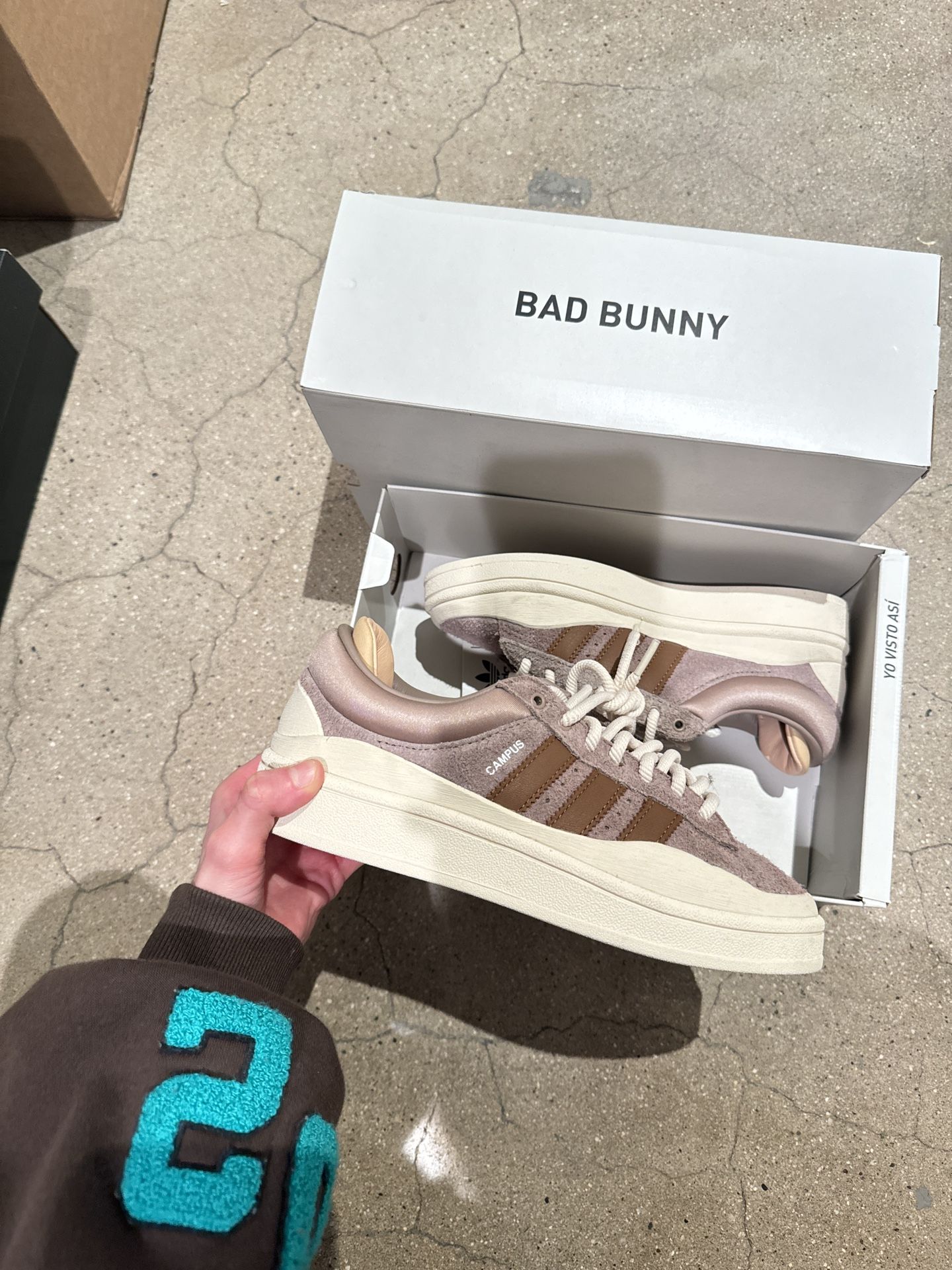 Bad Bunny Adidas