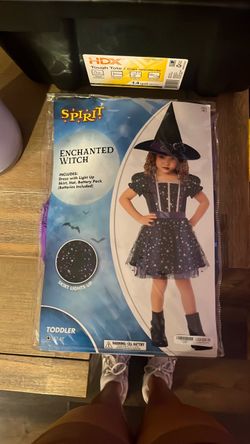 Spirit Enchanted Witch Toddler Halloween Costume