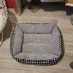 cat or small dog bed
