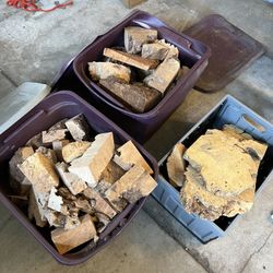 Wood Burl Collection