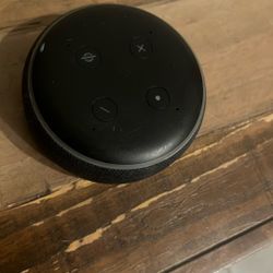 Echo Dot 
