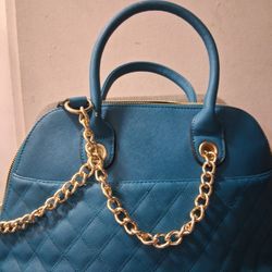 Gorgeous Bag, Some Damage, USED.