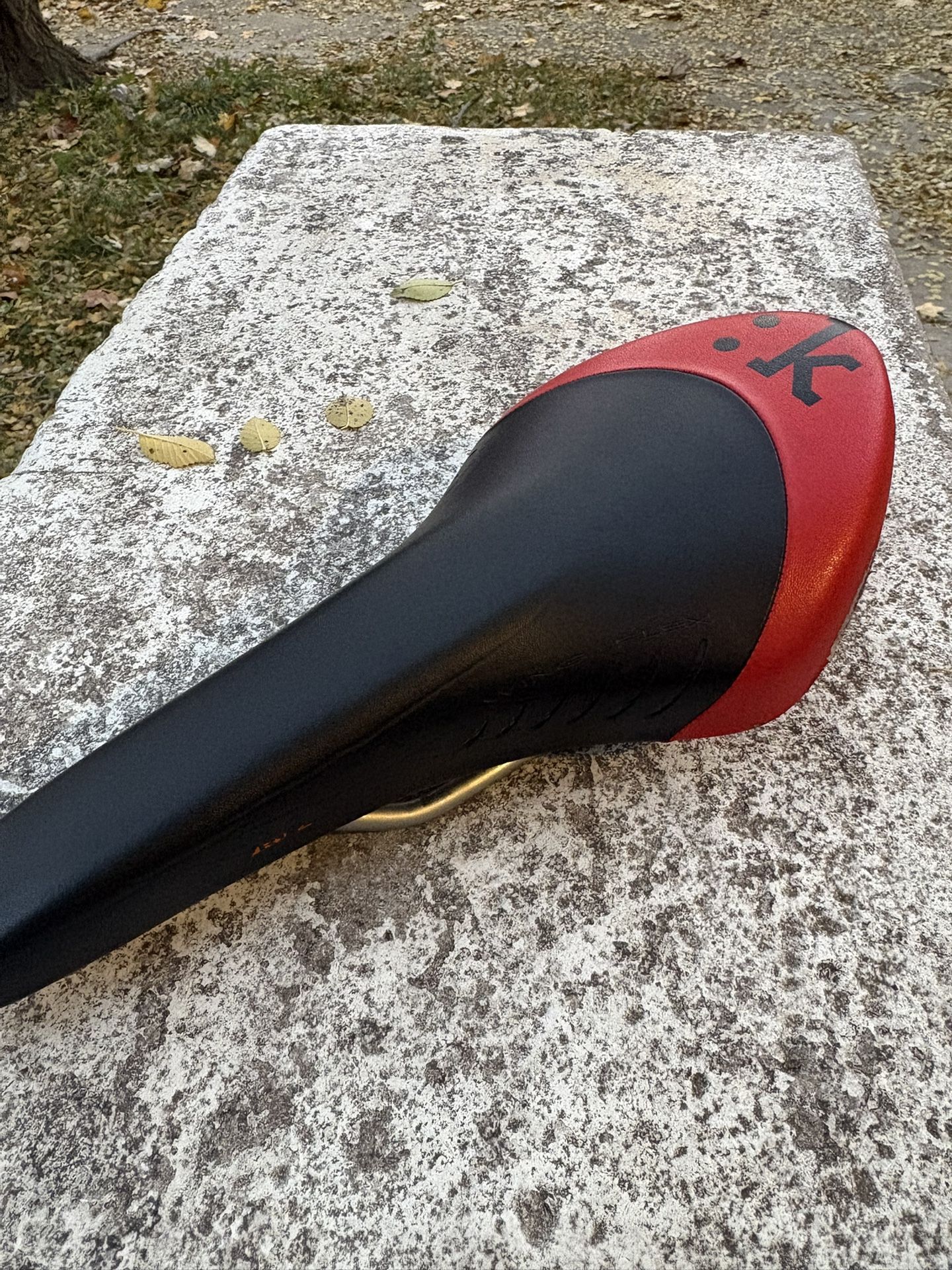 Red Fizik Seat