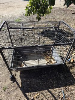 Guinea pig cage