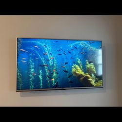 LG 49” LED TV 49LF5500 with Apple TV