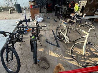 Bicicletas