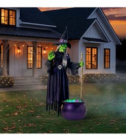 Life-Size Animated Halloween Witch with Cauldron Brand New In Box
