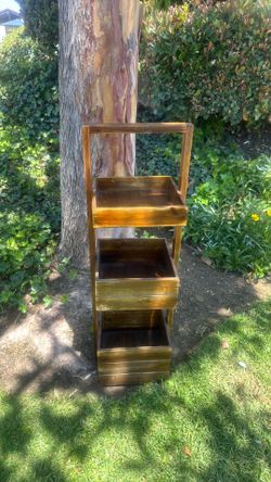 Organizer:shelves