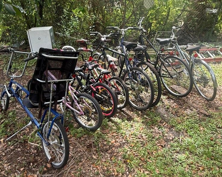 Bicicletas