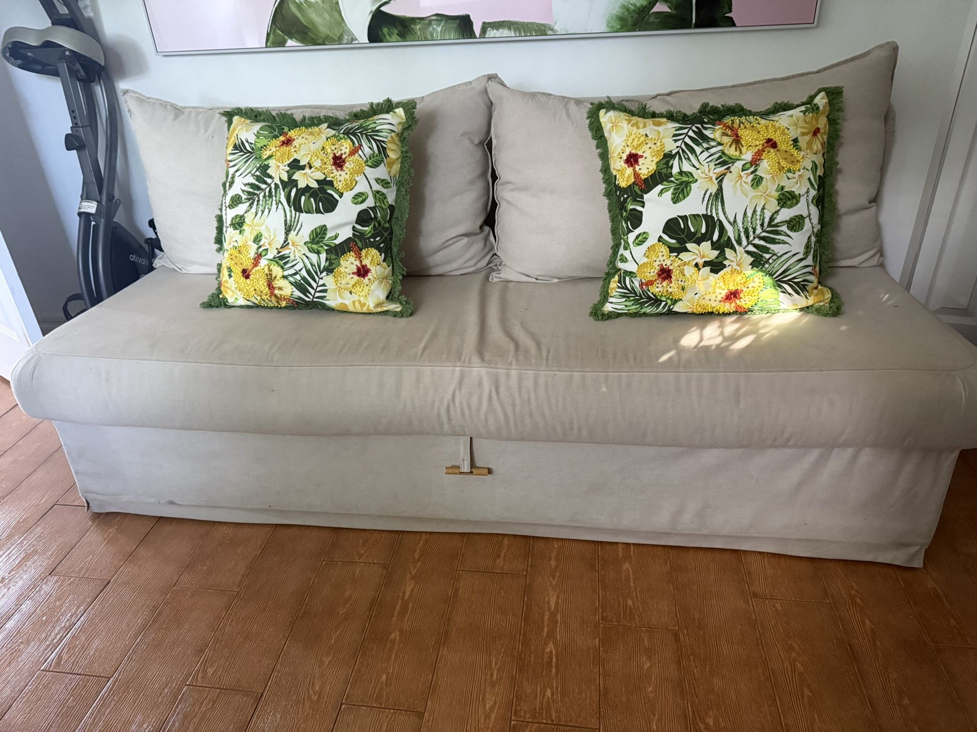 Sofa Bed / Sleeper Sofa 