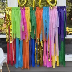 Fiesta Party Fringe Backdrop