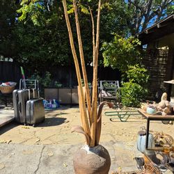 CERAMIC POT with BAMBOO POLES