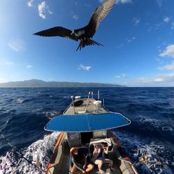 Whale Watching And Fishing Charters 