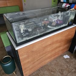 Peninsula Fish  Tank   $500
