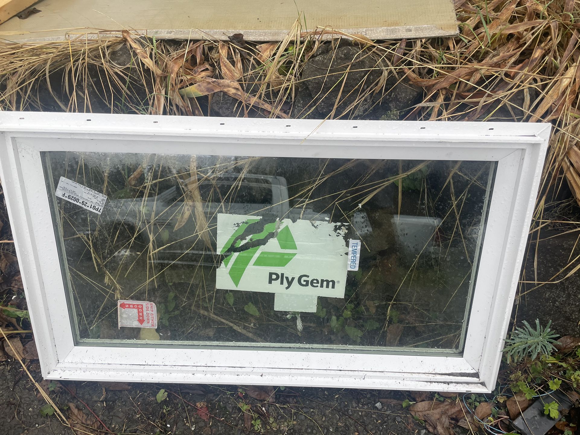 Ply Gem Custom Fixed Picture Window 41 1/2 X 23 1/2