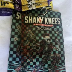 2-3 Day VIP’s Passes for Shaky Knees Festival 