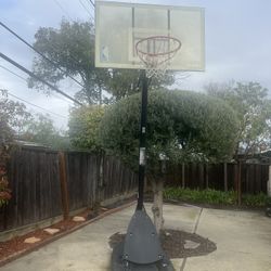 Basketball Hoop - Pending Pickup 