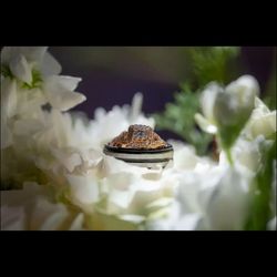 Rose Gold Ring with Insurance 