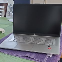 Hp 17in Windows 11 Laptop AMD Ryzen 5 256gb SSD 