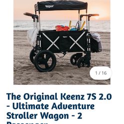 Double Stroller Wagon