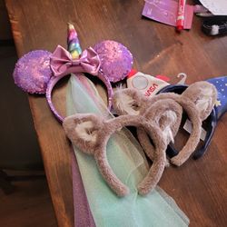 Ears For Disney And Great Wolf Lodge