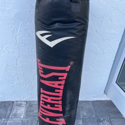 Everlast Punching Bag