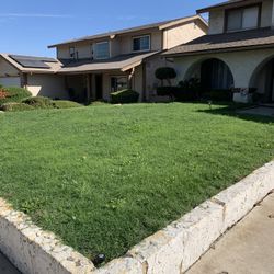 Home And Garden