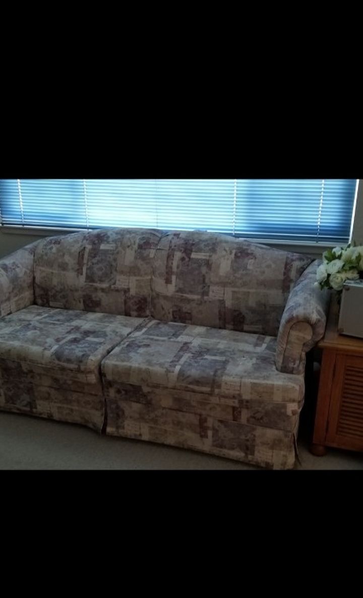 FREE Sofa W Pull-out Bed