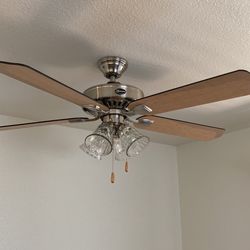 Ceiling Fan