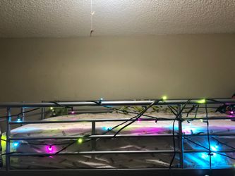 Bed frame (only bed frame included)